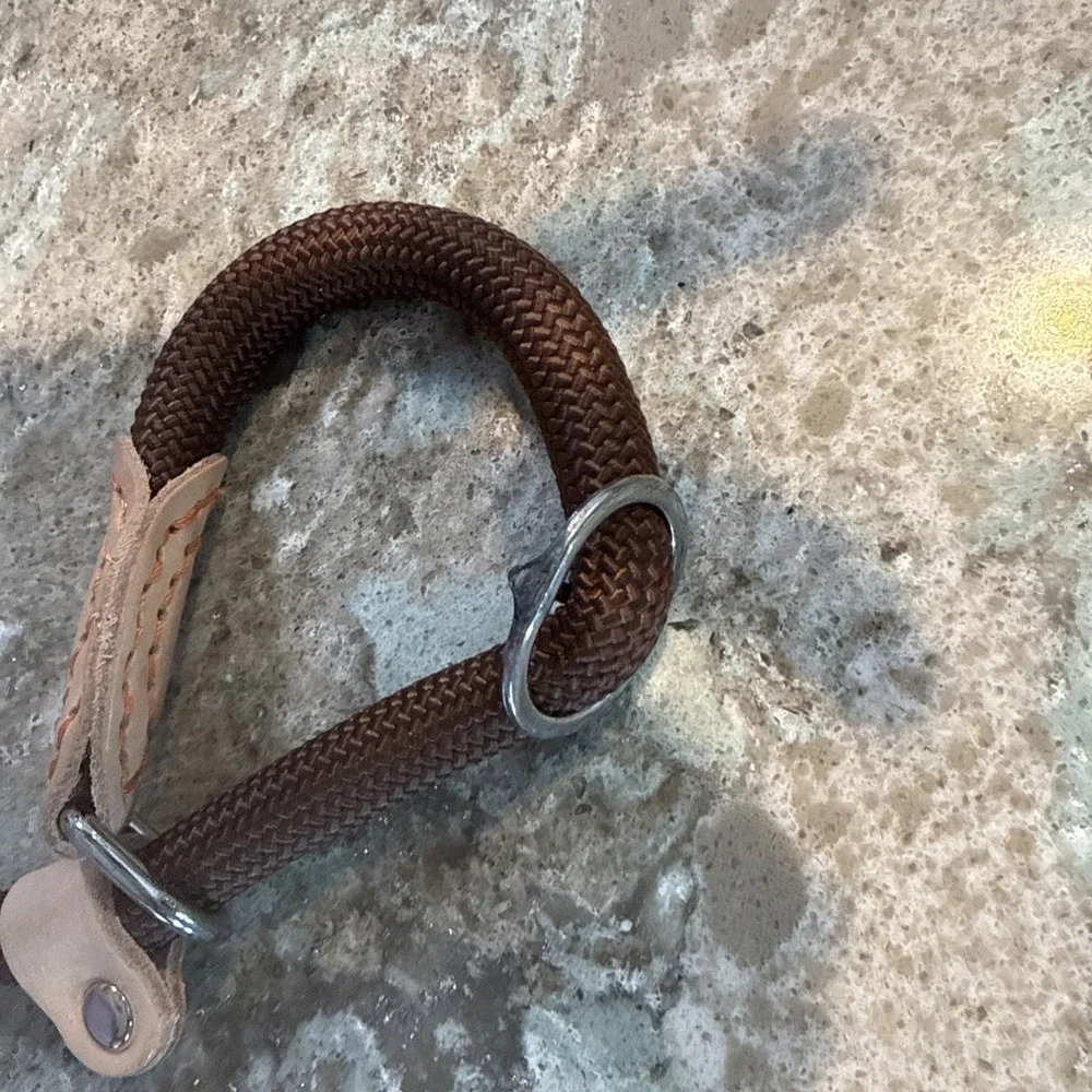 5' Nylon Leather Slip Lead Dog Leash Brown Dog Training Walking Exercise
